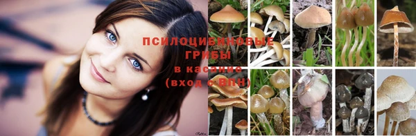 трава Елизово