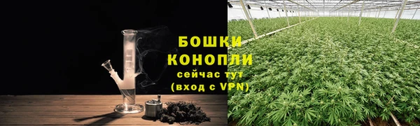 тгк Елабуга