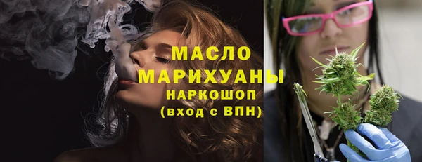 тгк Ельня