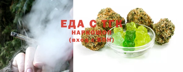 тгк Ельня