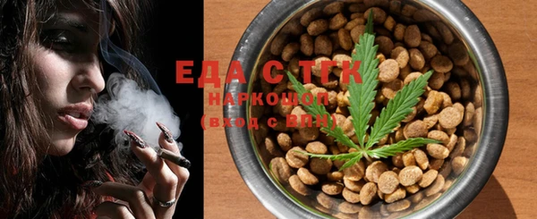 тгк Ельня