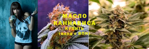 тгк Ельня