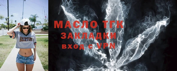 тгк Ельня