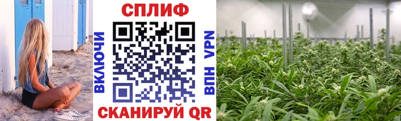 Конопля тримм  Купить где  Павлово 